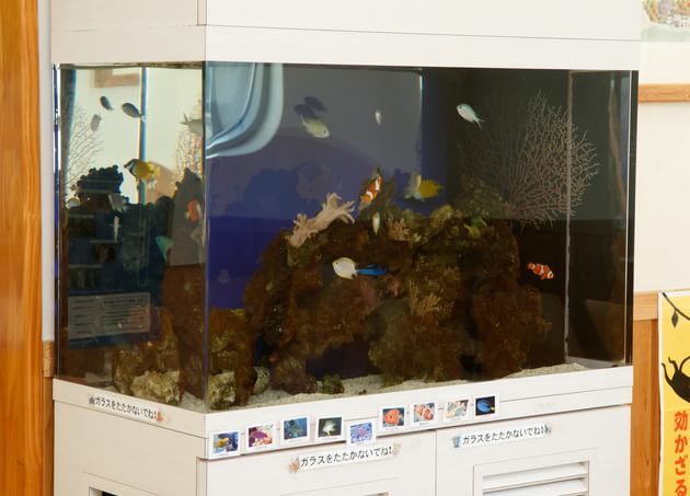 たか耳鼻咽喉科医院_11