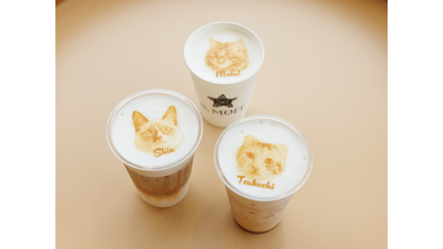 Moff　animal　cafe　ららぽーと愛知東郷店