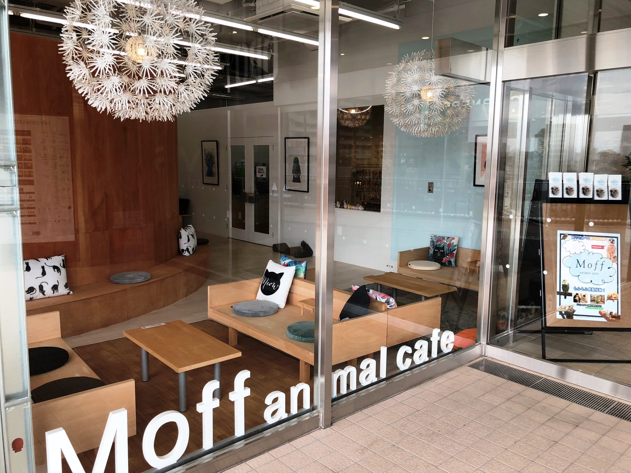 Moff animal cafe 水戸オーパ店