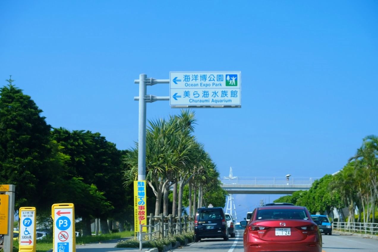沖縄美ら海水族館_くわしい行き方_1