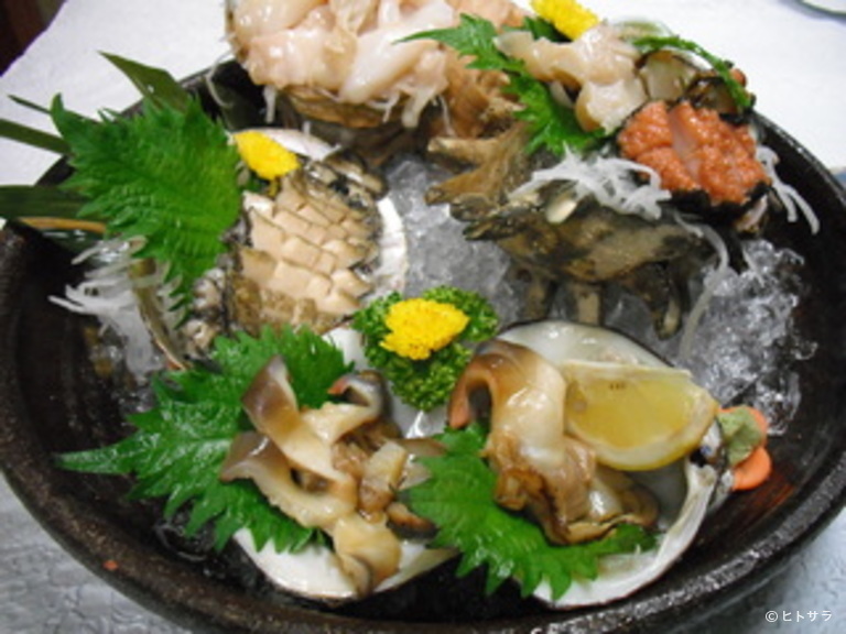 沼津　居酒屋割烹　吟_2