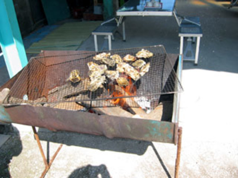 浦村牡蠣 山安水産