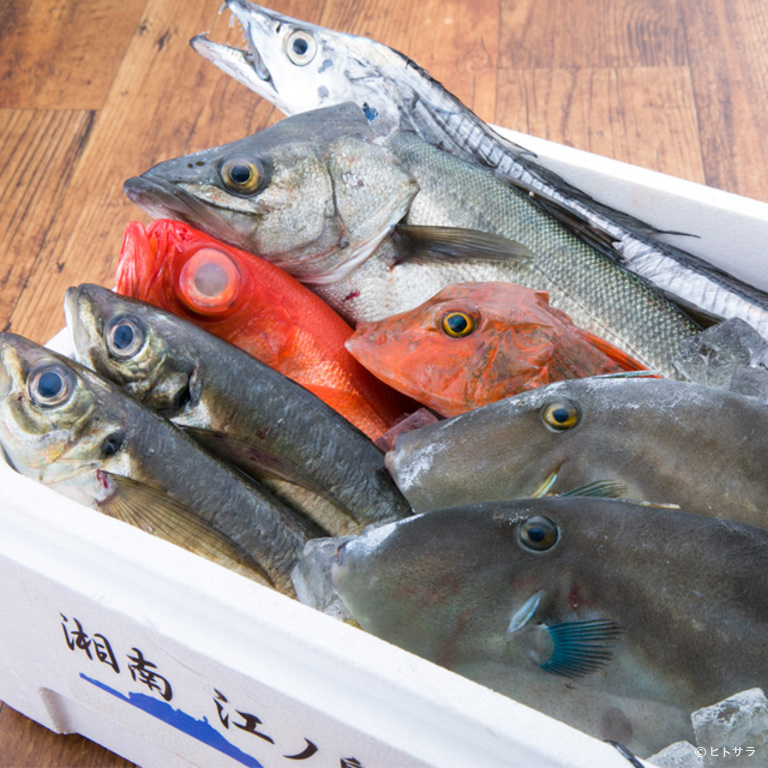 三陸鮮魚と炭焼牛タン　かっこ町田店_1