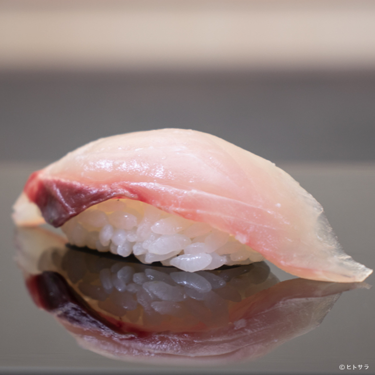 鮨きよし_2