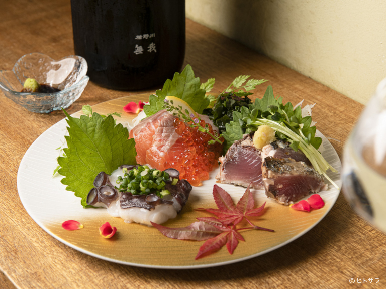 函館食堂shanshan_1