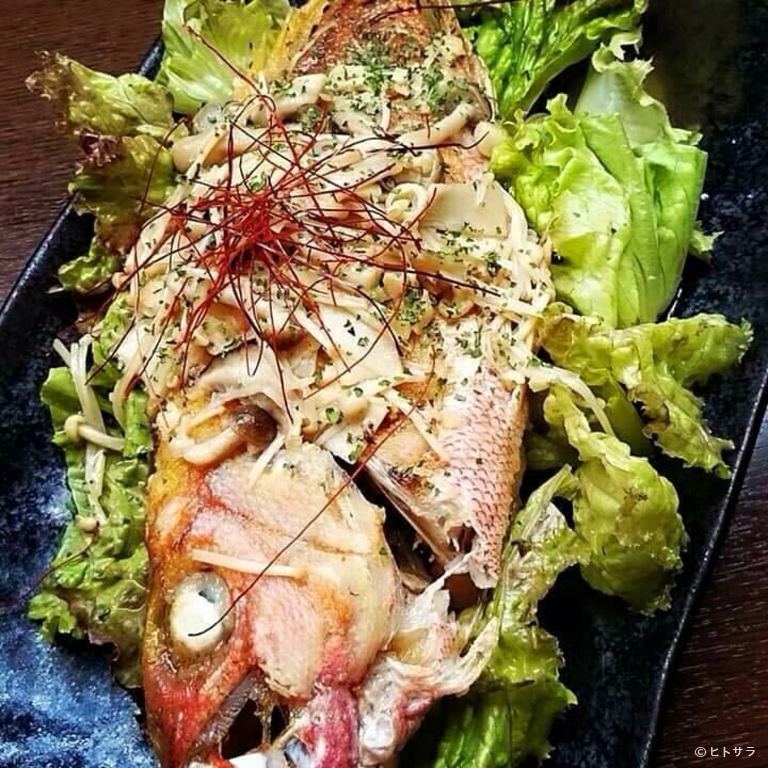 居酒屋　うまんちゅ_1