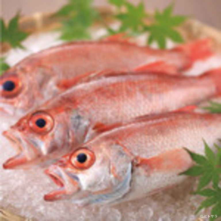 地鶏・鮮魚・金沢屋　金沢片町本店_2