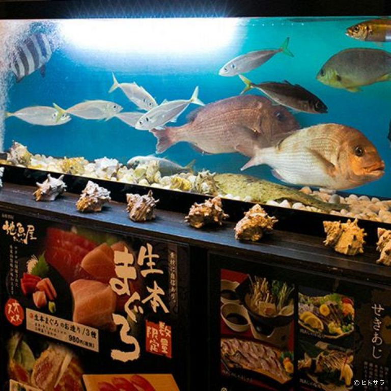 海鮮問屋 地魚屋 大宮店_2