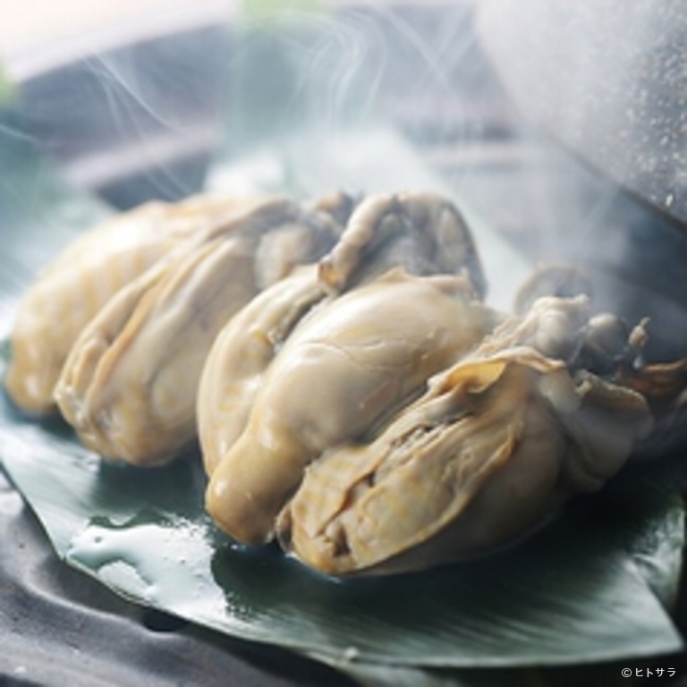 すすきの肉汁餃子工房　卑弥呼_2