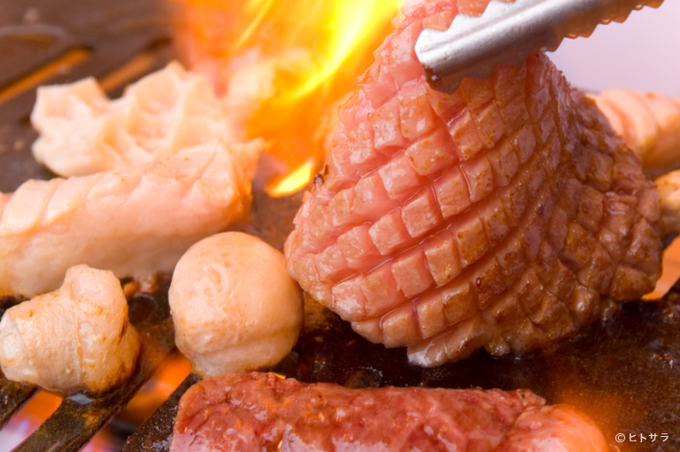ホルモン焼肉　七福　難波店_1