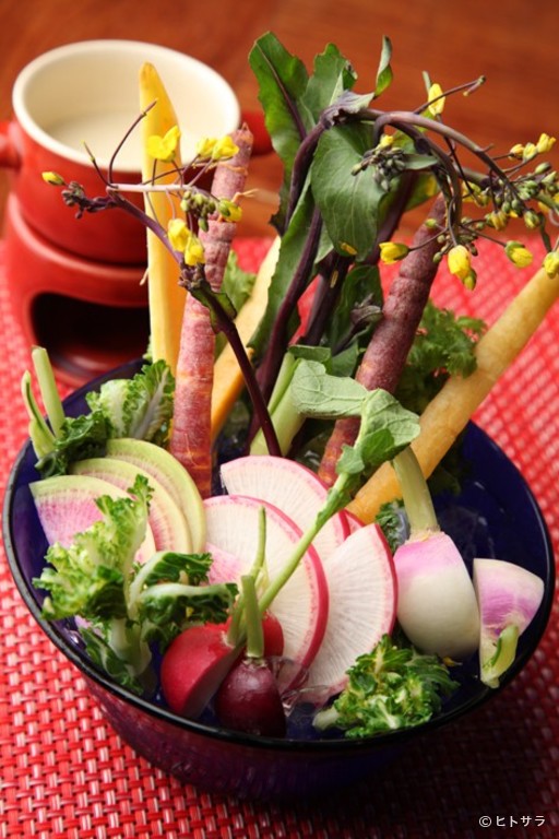 オイスター＆スパニッシュイタリアンバル　スパイラル_1