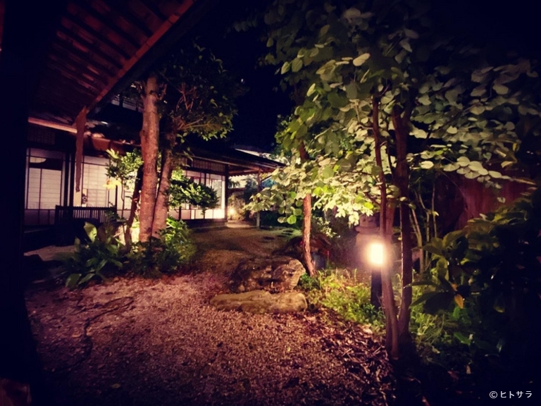もつ鍋専門もつ蔵_1