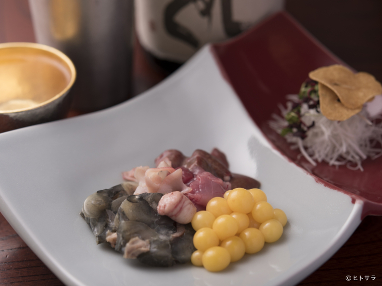 すっぽん料理前田_1