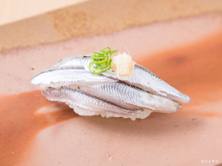 鮨広島　あじろや　本店_1