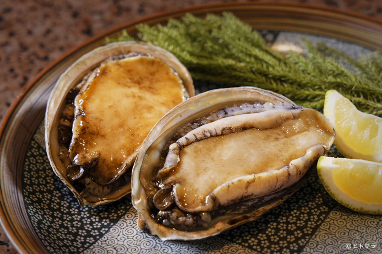 鉄板焼き こころ （グランドパーク小樽）_1