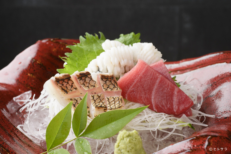 酒肴　いさ味_1