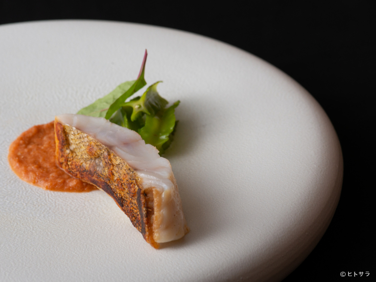 RISTORANTE　TOMOHIRO　SUZURI_1