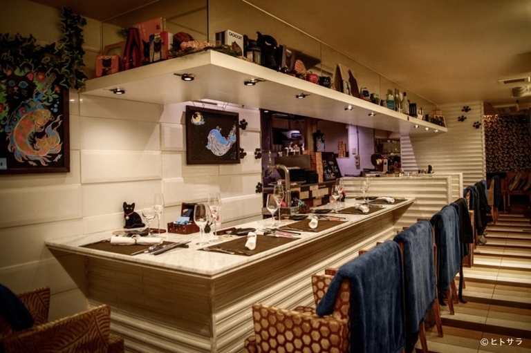 北新地　黒猫_2