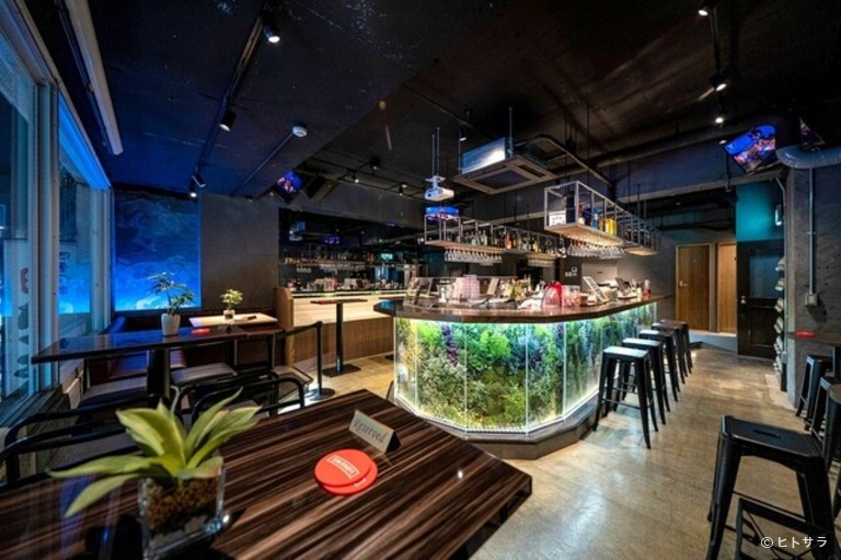 LITTS BAR & GRILL -リッツ 渋谷店_2