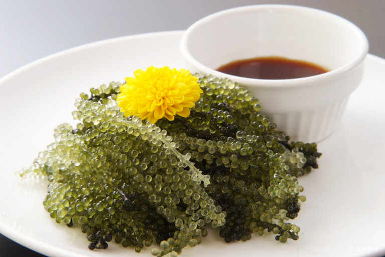 沖縄料理と炉端焼き なんくるないさー 秋葉原店_3