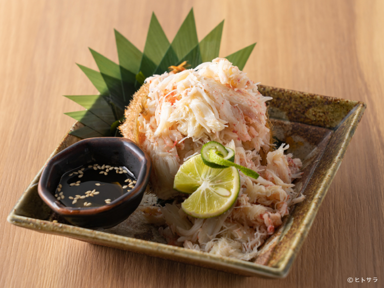 魚男　South_2