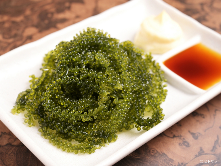 燦別邸　岐阜店_3