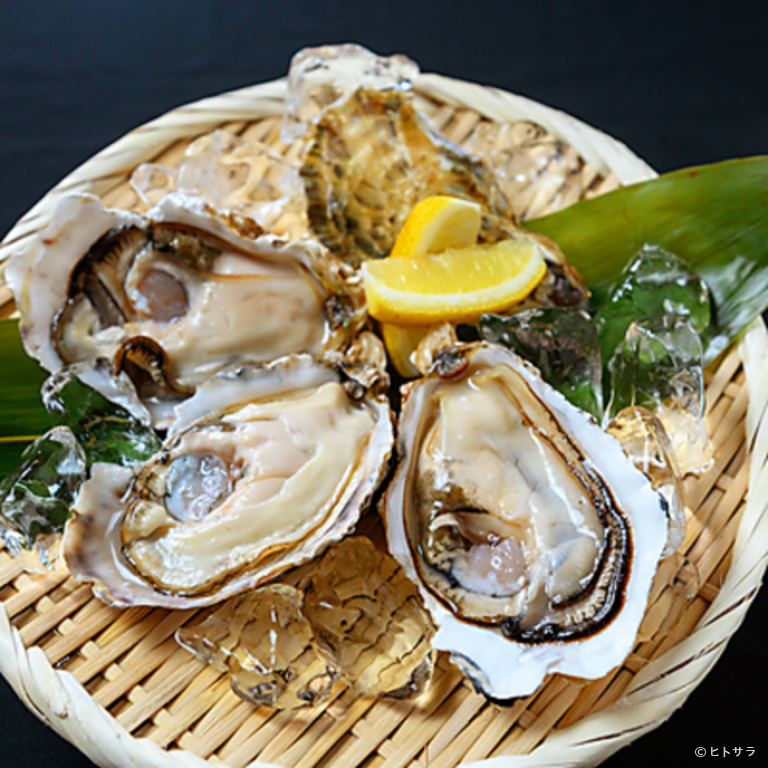 漁師の台所　枕崎漁場　天文館店