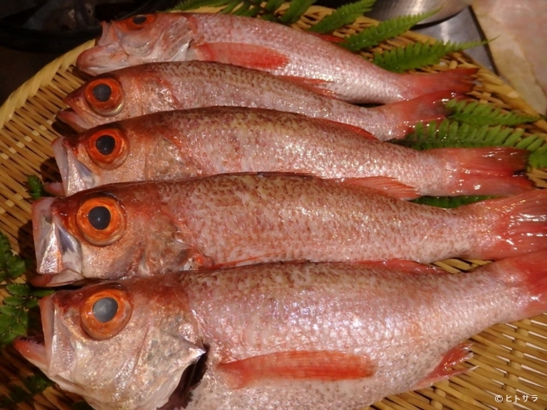 博多味問屋　いちにち一膳_4