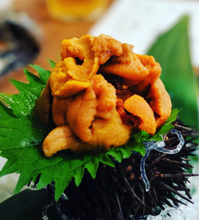 雲丹専門店　海栗屋　 下北沢_1