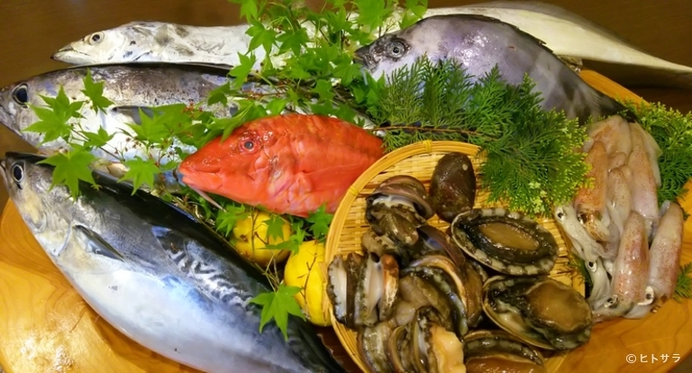 地産処 樹樹