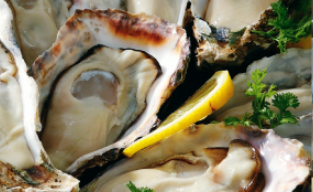 8TH SEA OYSTER Bar横浜モアーズ店_1