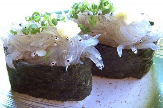 回転寿司　お魚天国_2