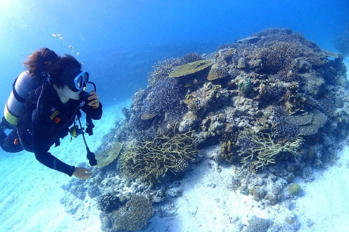 伊江島Mariner