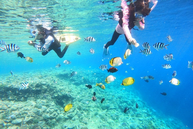 DIVE IN CHATAN