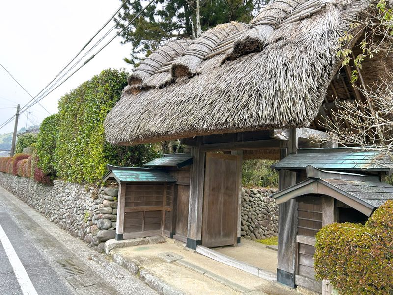 九州島々桜島発！輝き（うあんごツアー）