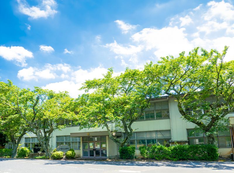 オトナ学園