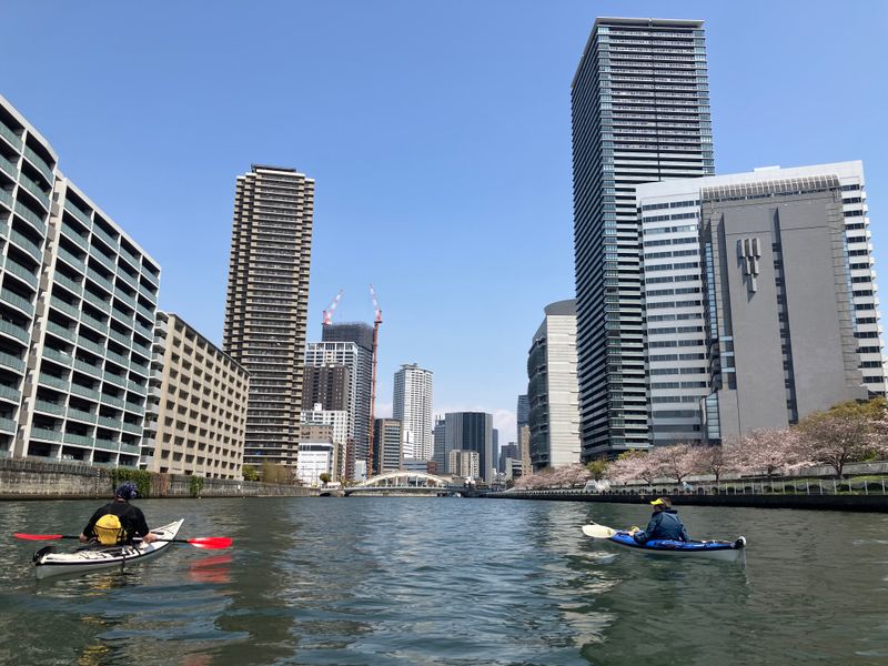 Nomad Kayaks