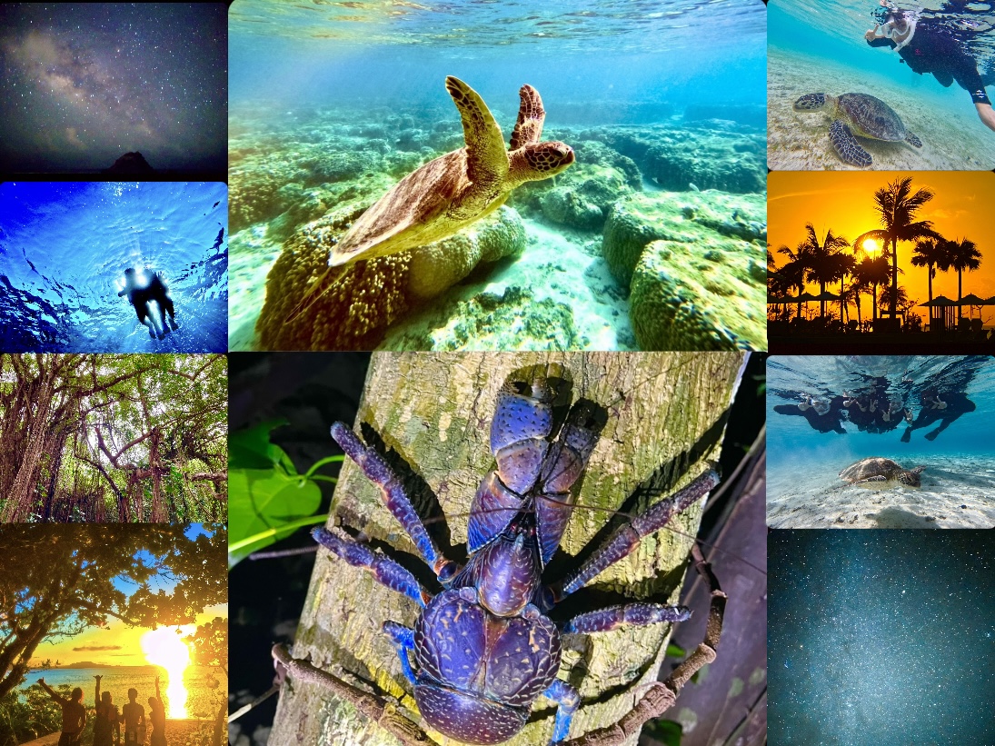 OCEAN LIFE 宮古島