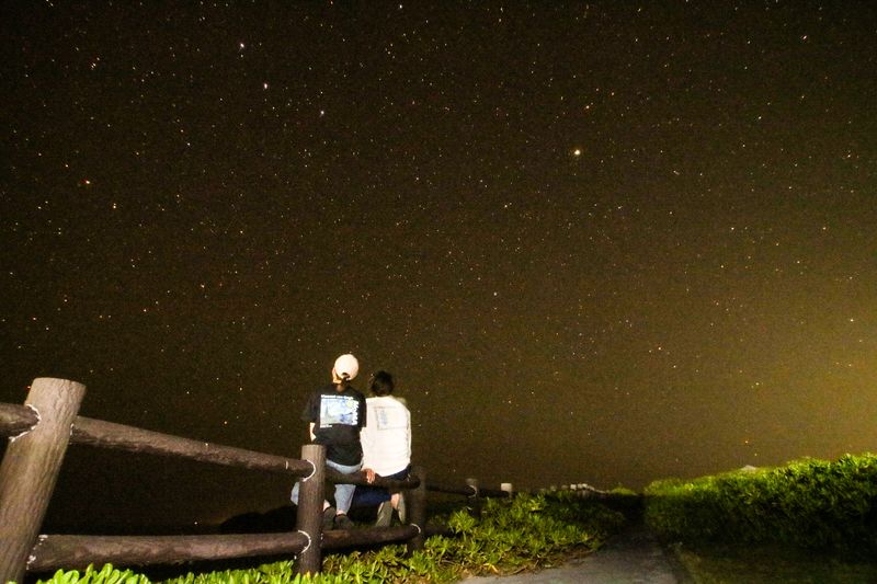 星のゆりかご