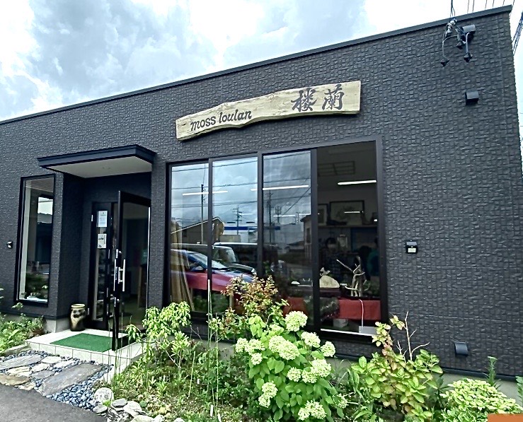 mossloulan楼蘭