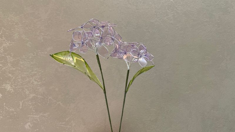 葉っぱとくらし