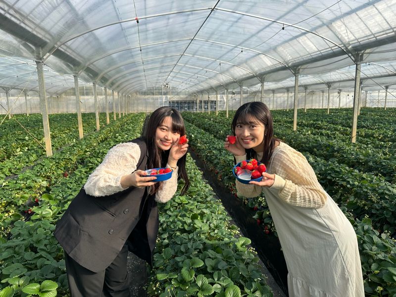 磯山観光いちご園