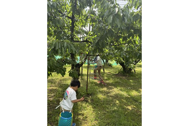 芳賀にこにこ農園