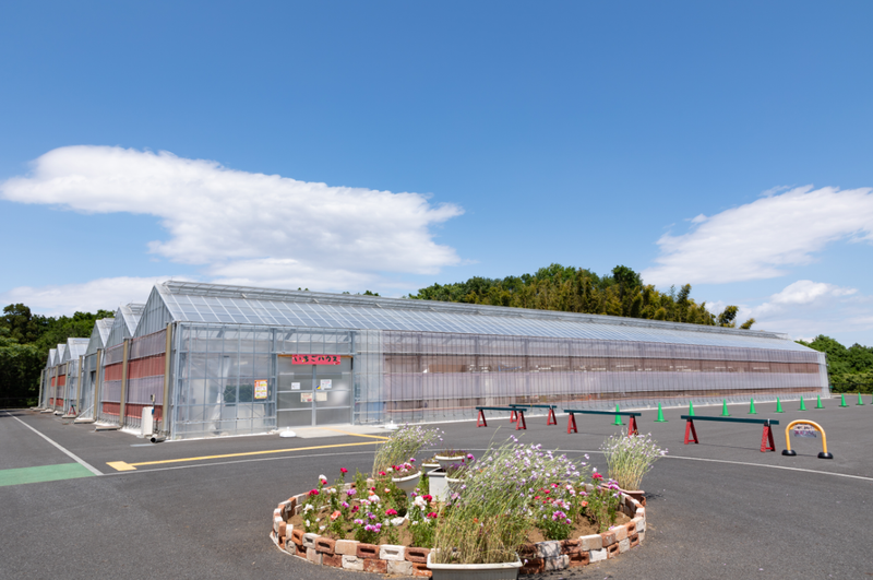 東松山市農林公園