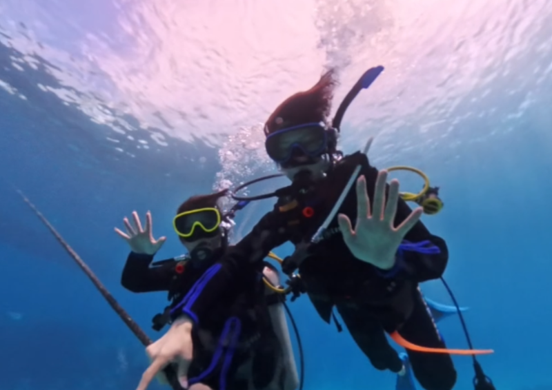 真心ダイバーズ