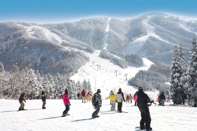 スキージャム勝山