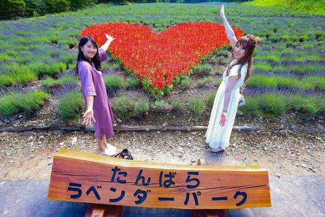 たんばらラベンダーパーク