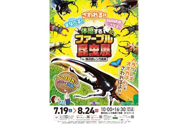 体感するファーブル昆虫展in横浜赤レンガ倉庫