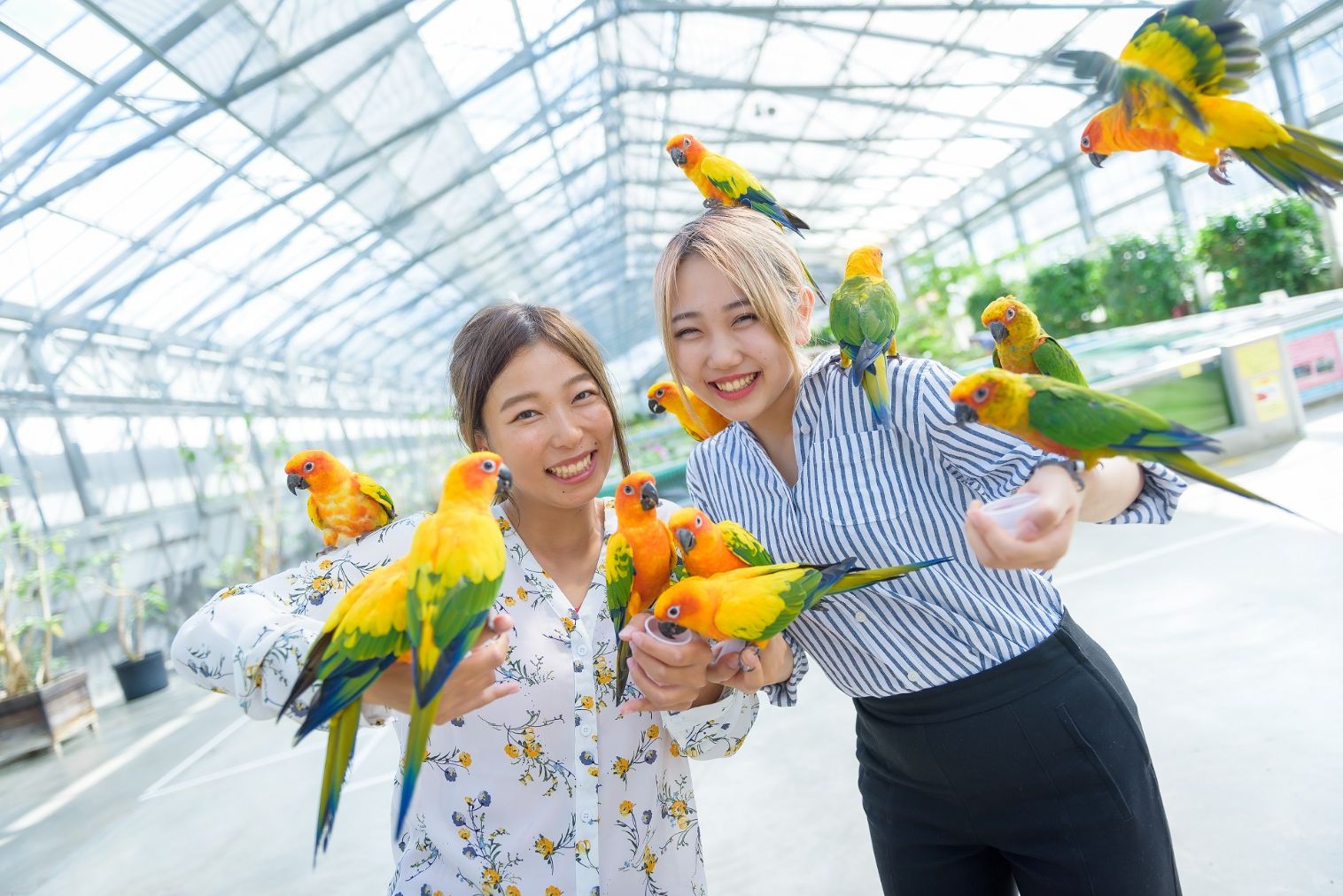 掛川花鳥園