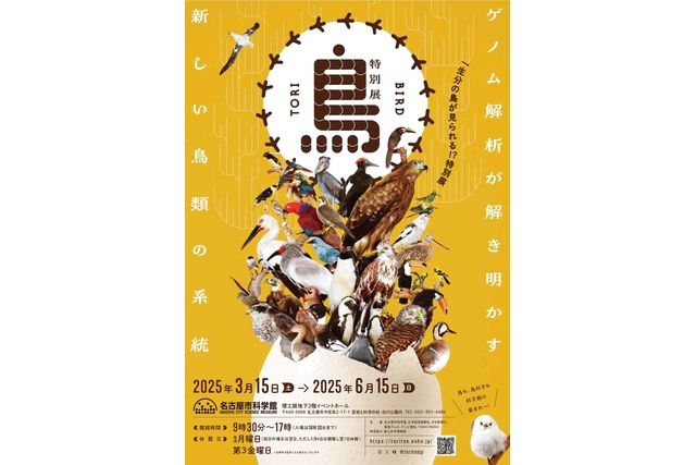 特別展「鳥～ゲノム解析が解き明かす新しい鳥類の系統～」